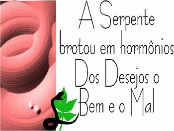 Foto: Henrique Jose
