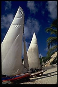 Foto de Henrique Jose